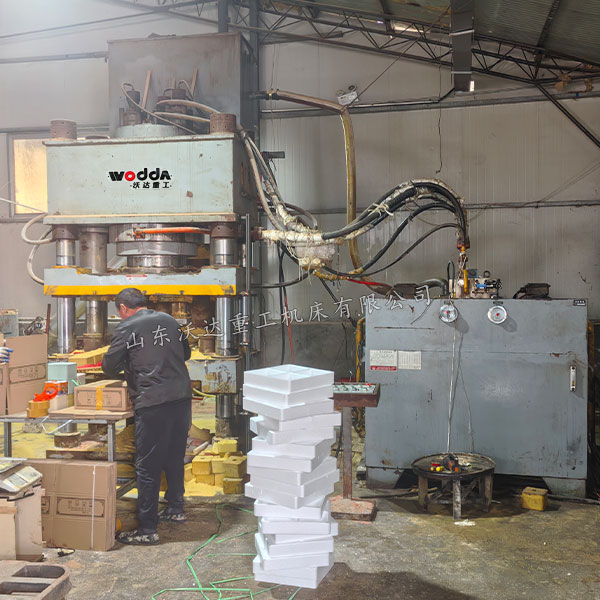 800吨牛羊舔砖液压机