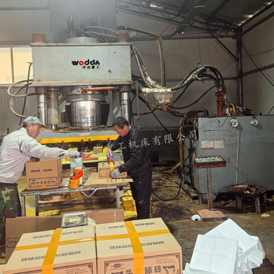 800吨牛羊舔砖液压机